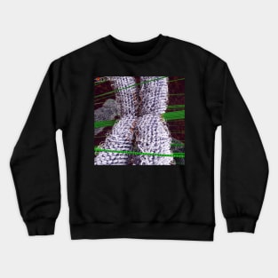 A Closer Look at Metaphase Crewneck Sweatshirt